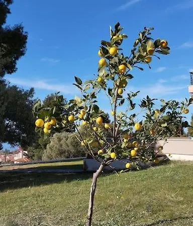 بيت للعطل Elgevacation 2