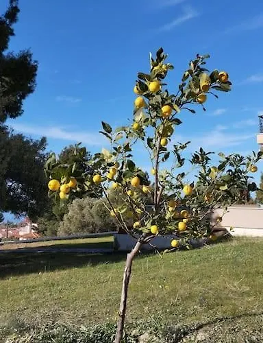 Hébergement de vacances Elgevacation 2